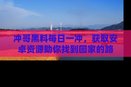 冲哥黑料每日一冲，获取安卓资源助你找到回家的路