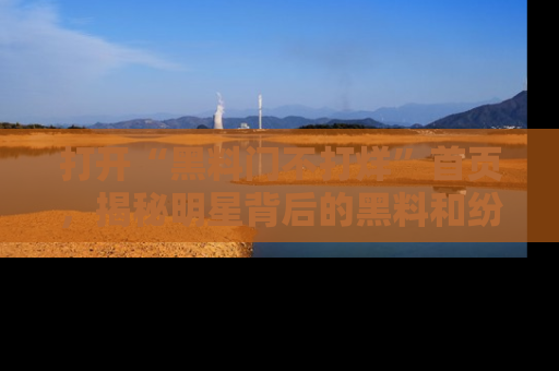 打开“黑料门不打烊”首页，揭秘明星背后的黑料和纷争真相！
