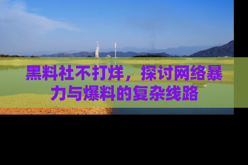黑料社不打烊，探讨网络暴力与爆料的复杂线路