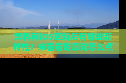 黑料网iOS更新后有哪些新特性？来看看吃瓜党怎么点评！
