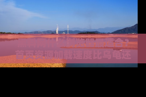 黑料网什么浏览器最适合？首页资源加载速度比乌龟还慢的体验真心吐槽！
