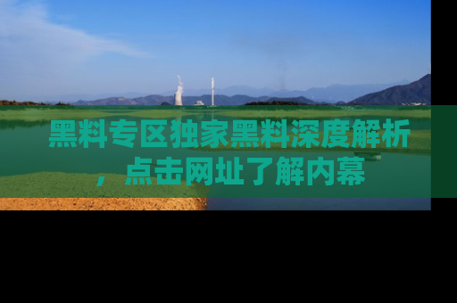 黑料专区独家黑料深度解析，点击网址了解内幕