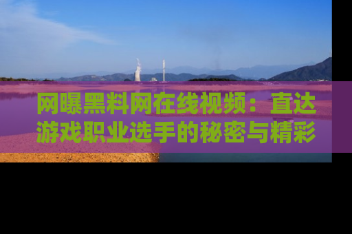 网曝黑料网在线视频：直达游戏职业选手的秘密与精彩动漫片段！