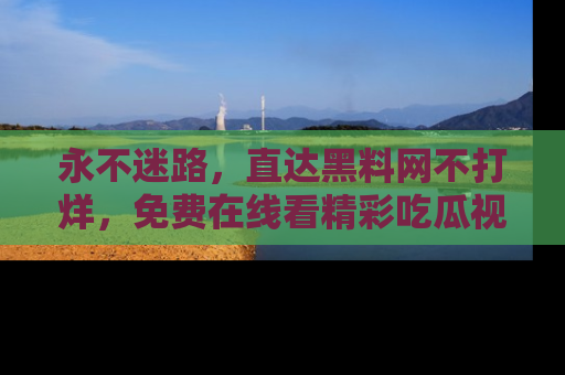 永不迷路，直达黑料网不打烊，免费在线看精彩吃瓜视频！