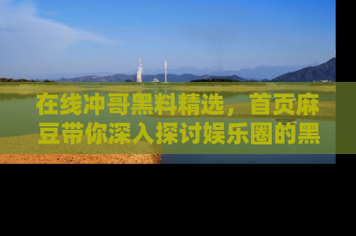 在线冲哥黑料精选，首页麻豆带你深入探讨娱乐圈的黑暗面